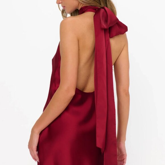 NWT *LAST ONE* Lisa Mini Dress - Picture 6 of 8